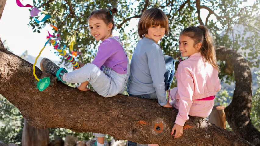 Children playing on tree