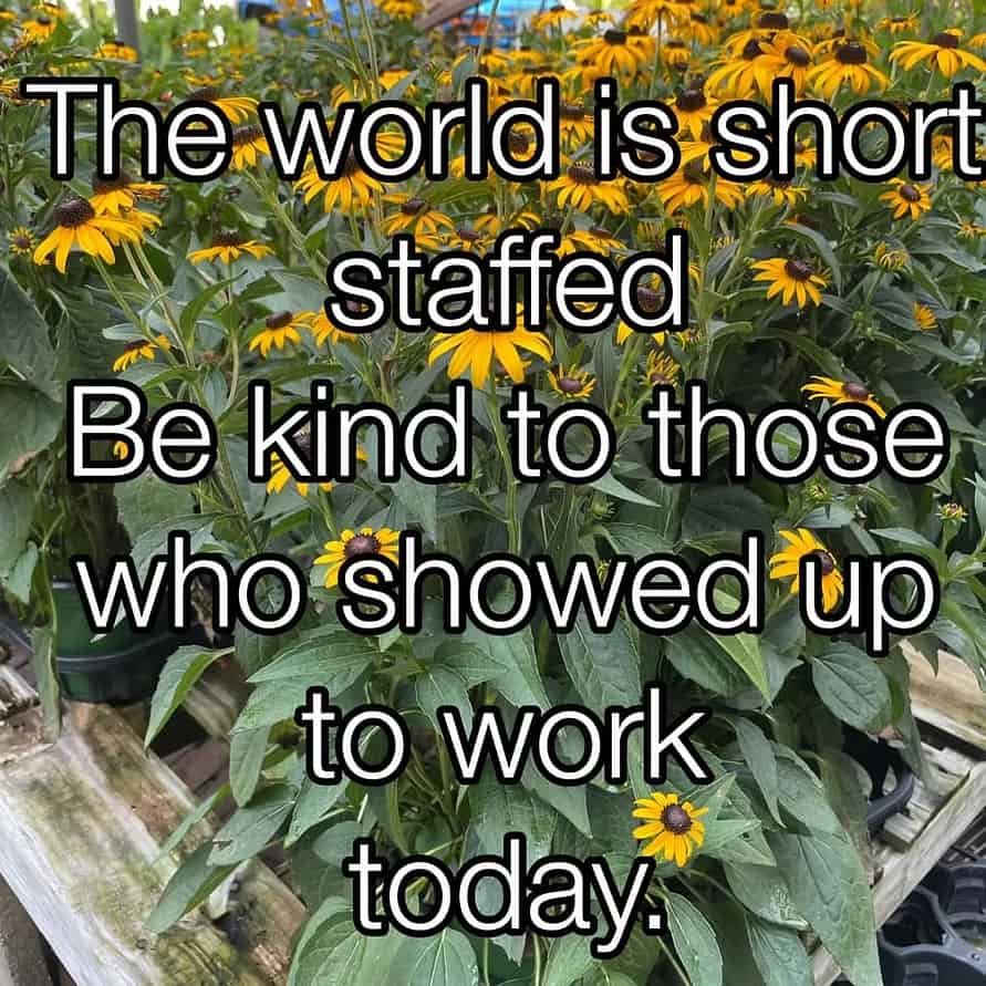 Short staffed kindness message